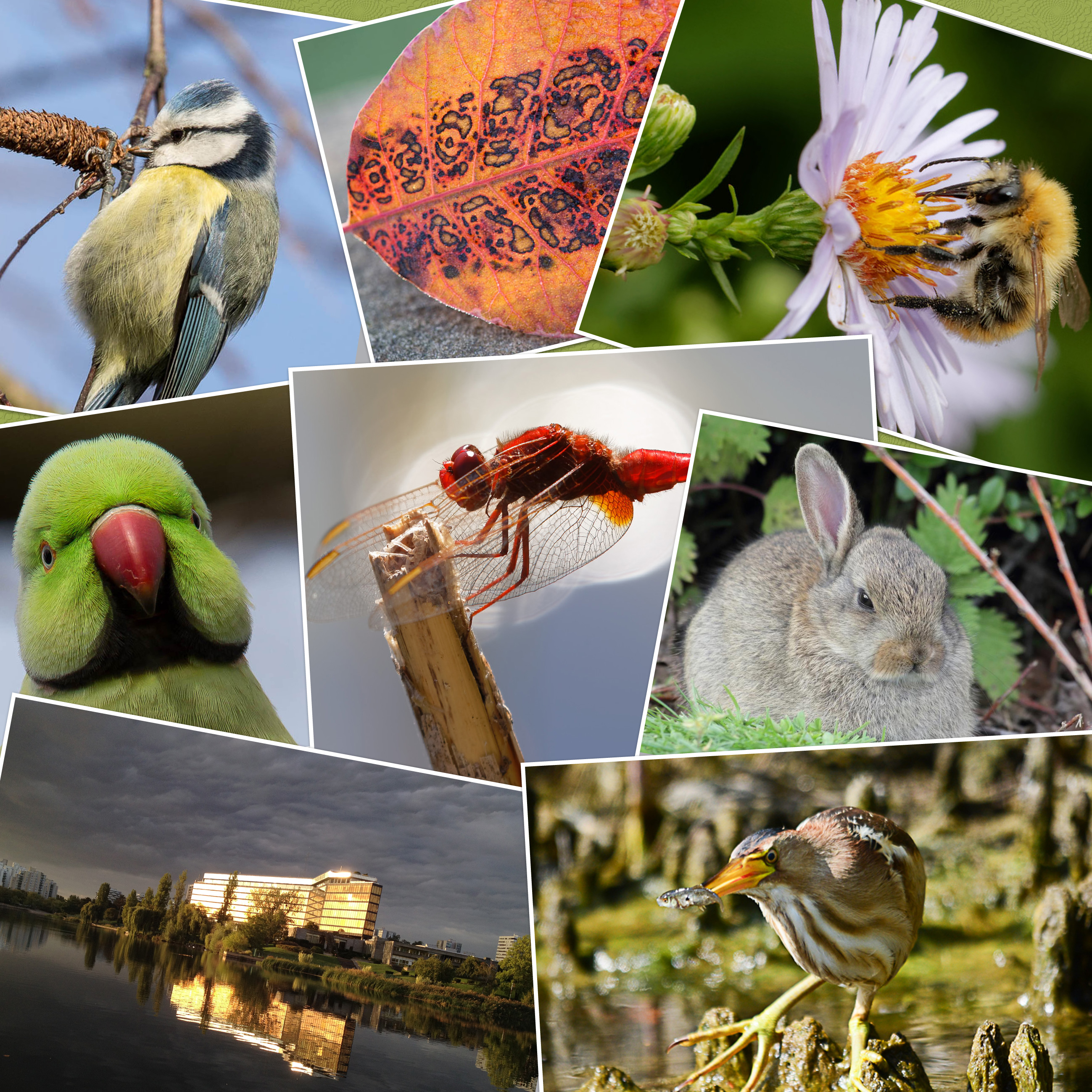 Expo’ photos les richesses de la Tégéval