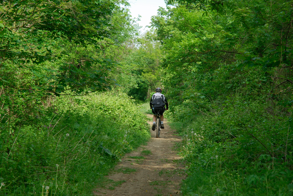 Découverte à vélo de l’agriculture bio du Plateau Briard