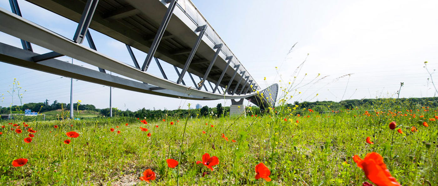 Les sites les plus inaccessibles et dangereux sont aménagés en priorité (ici la passerelle sur la RN406 à Créteil et Valenton)
