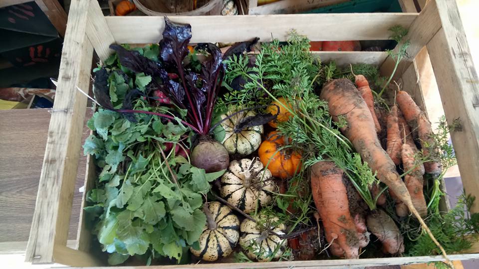 Ferme traditionnelle éducative de Mandres-les-Roses