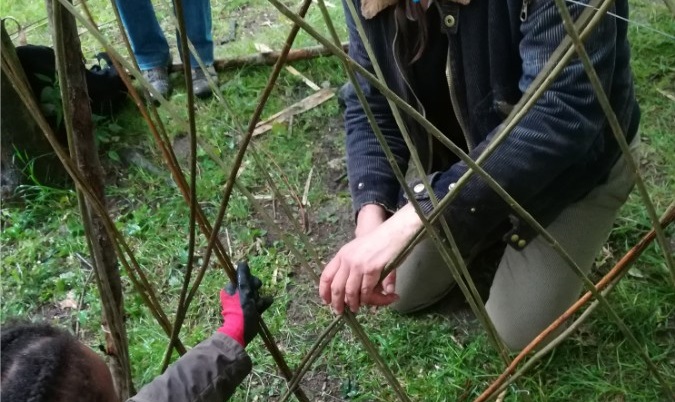 Atelier d’éco-construction, tressage d’une haie d’osier vivant
