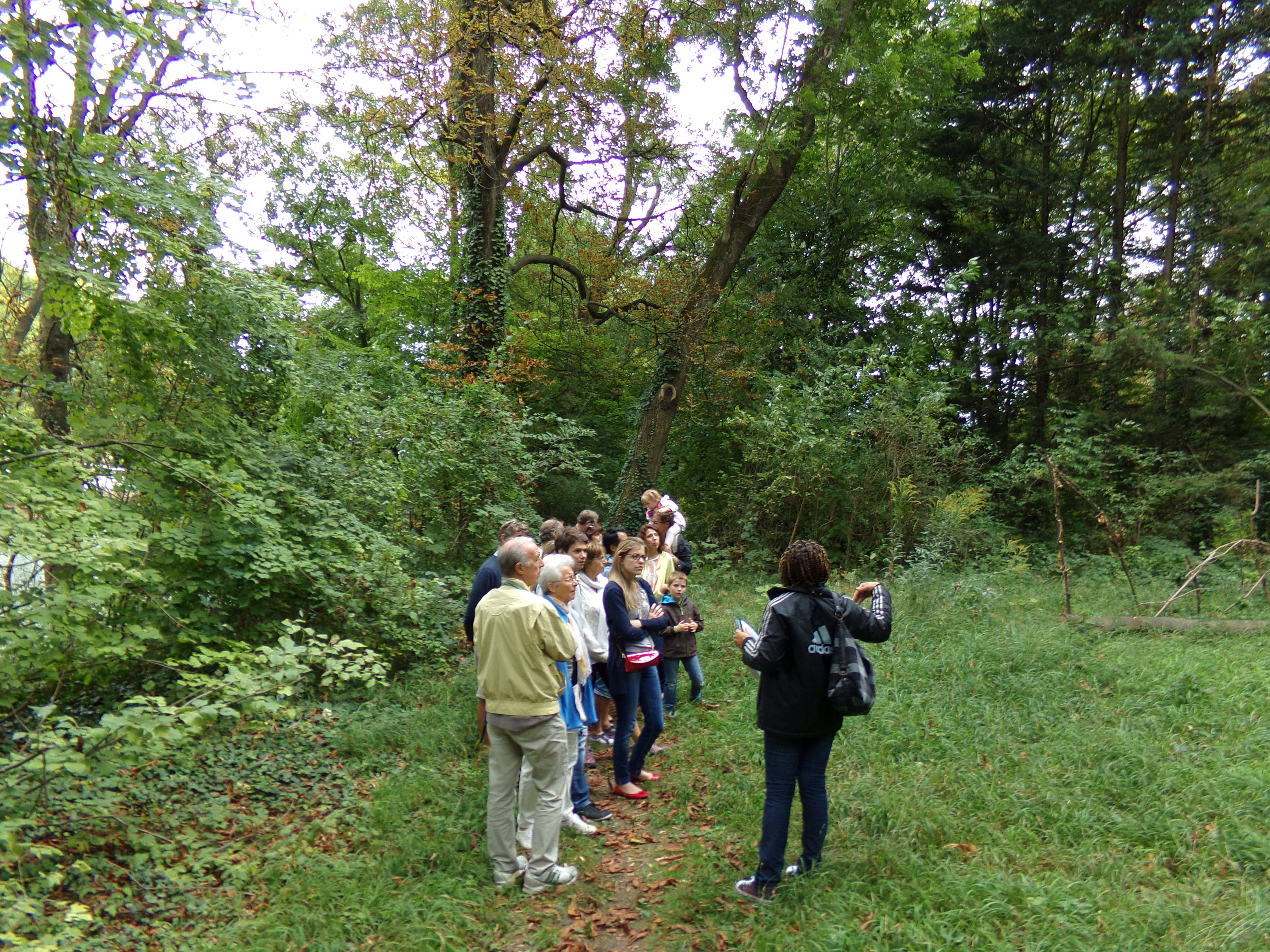 Balade forestière au fil des saisons