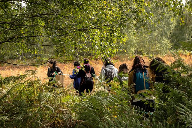 La forêt des 5 sens