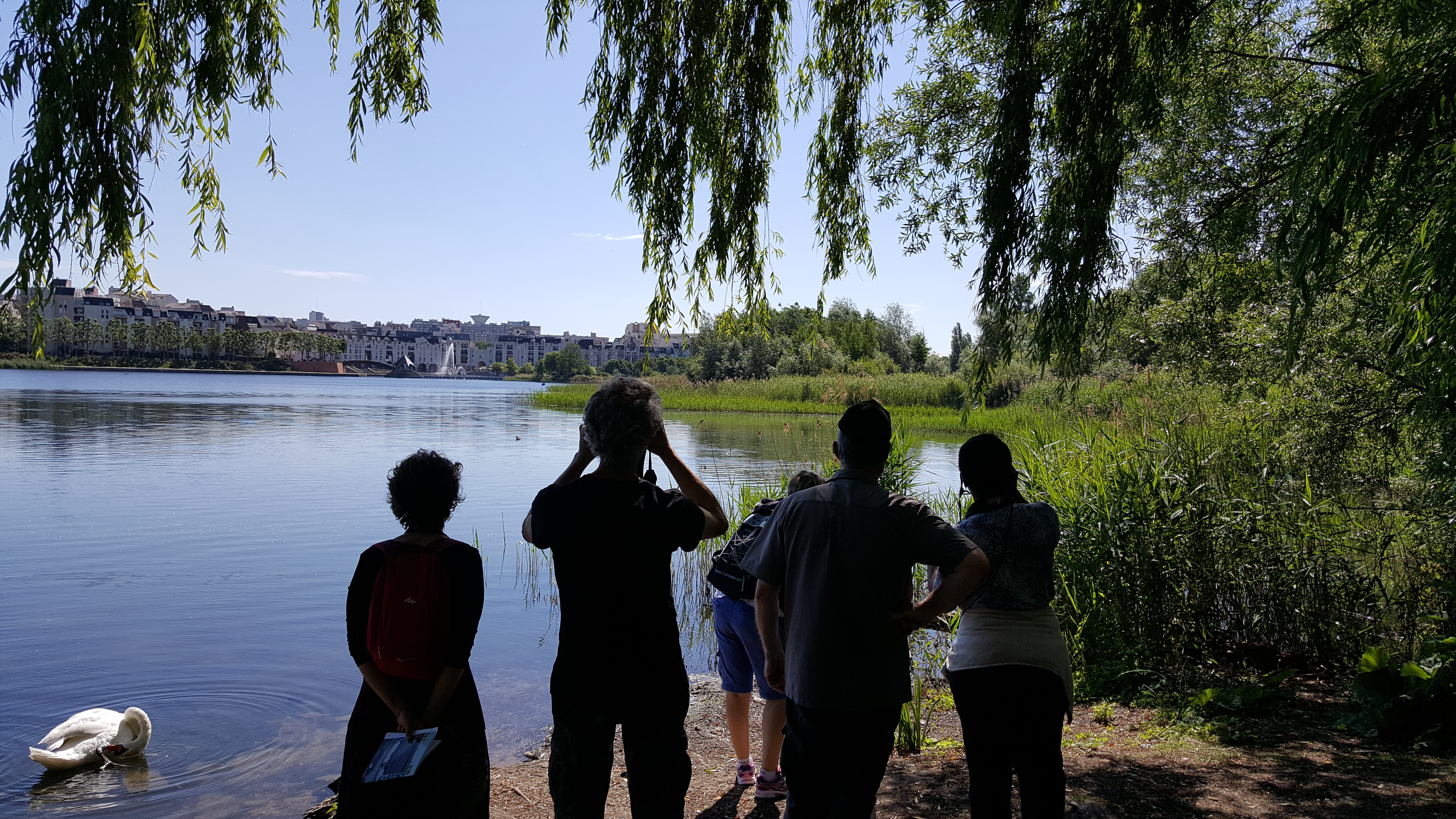 La Tégéval à tire d’ailes