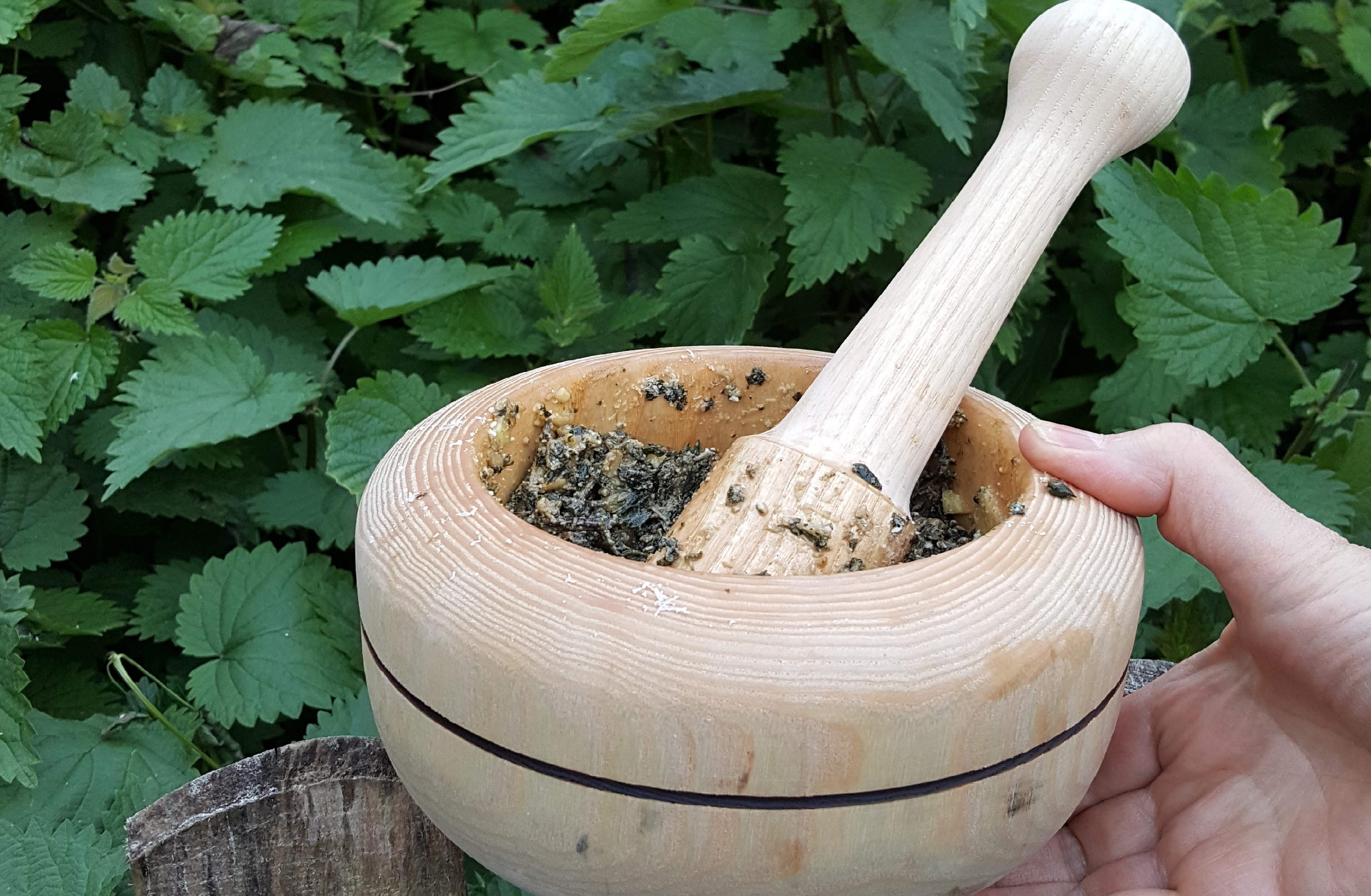 Balade grignotée (automne)