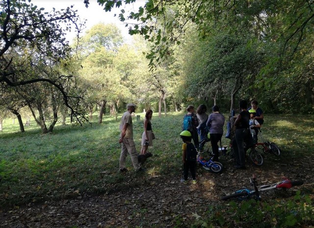 Balade facile à vélo : en route vers la Tégéval et ses animations