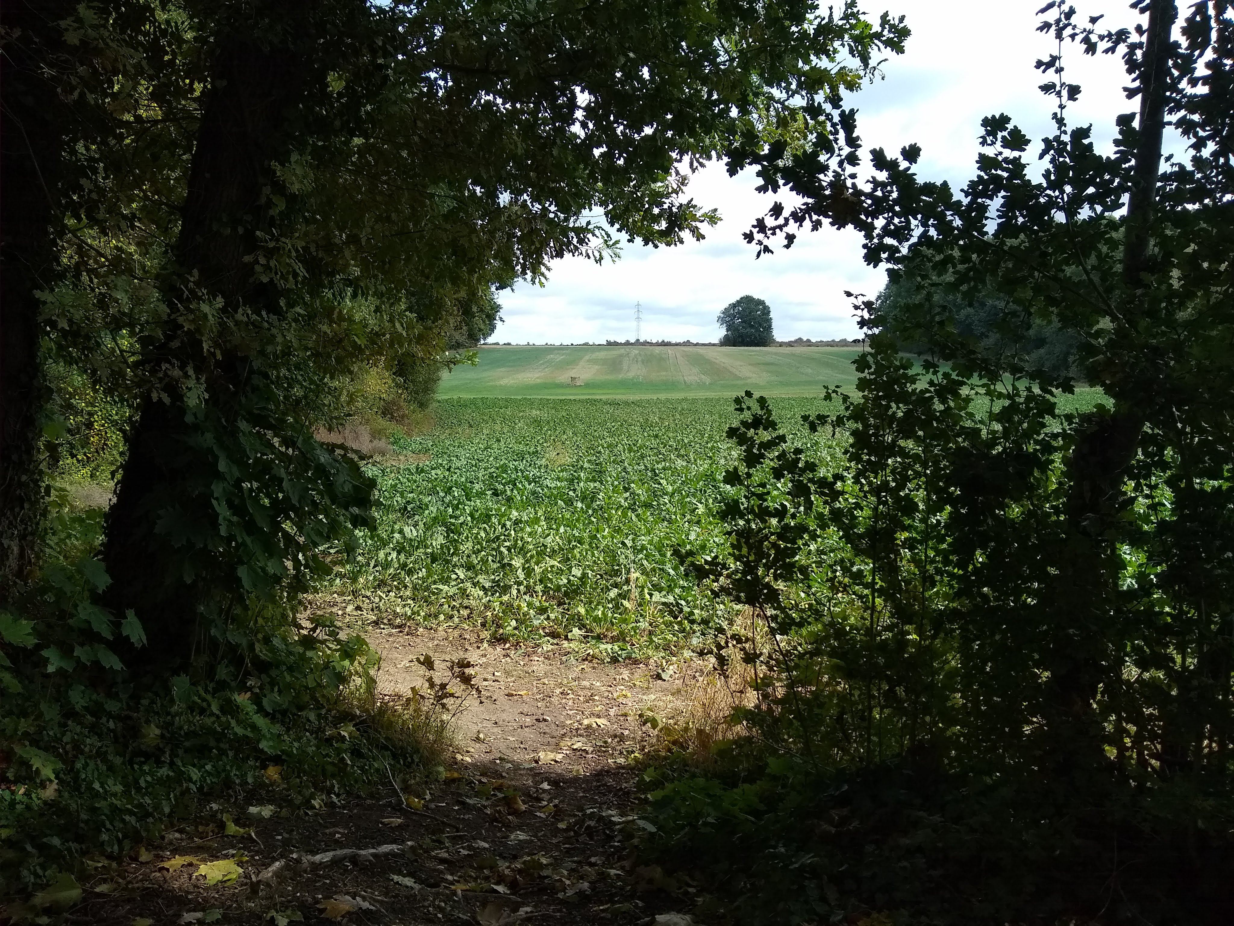 Promenade exploratoire, du proche au lointain