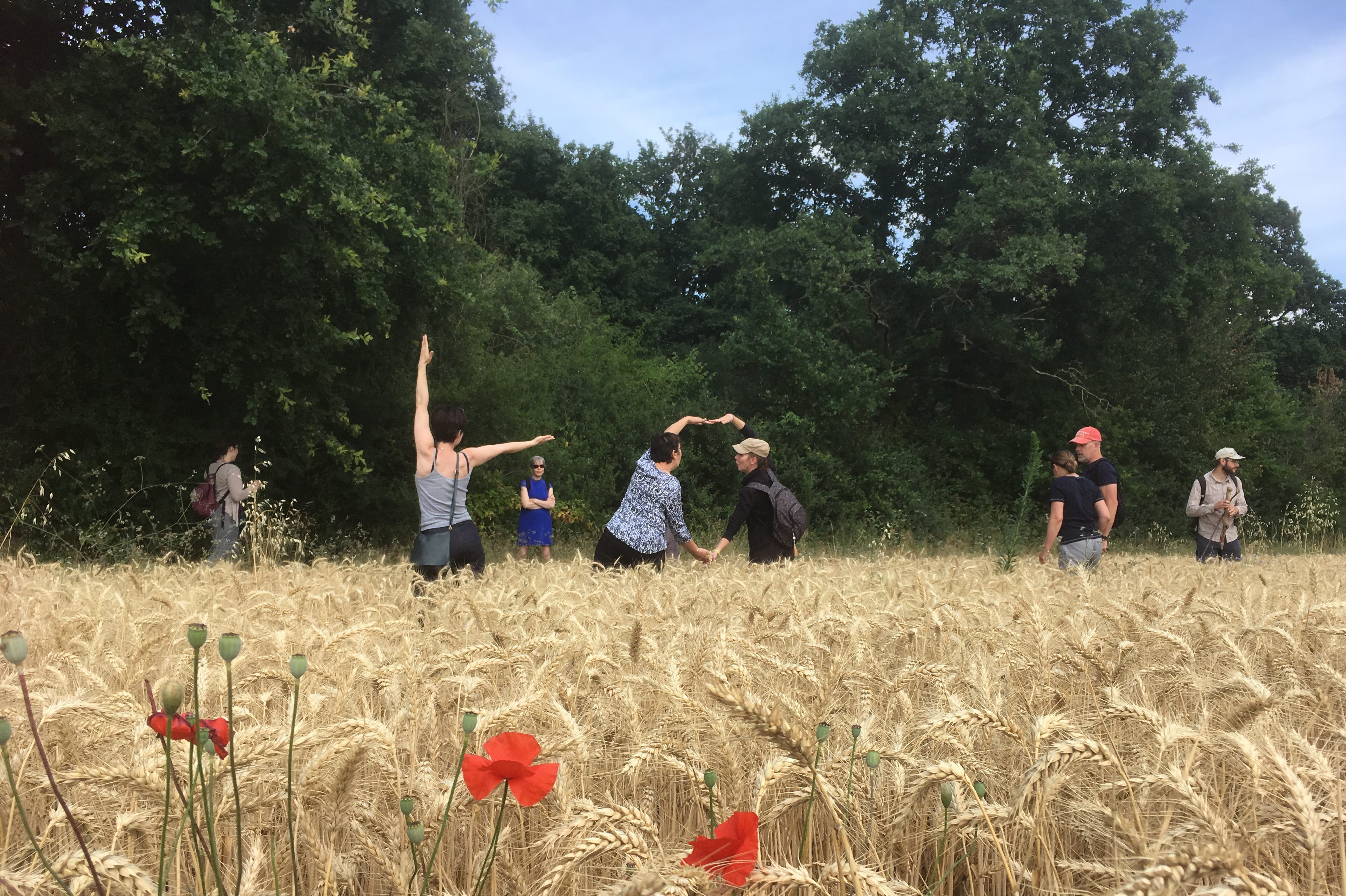 La forêt des 5 sens > REPORTEE AU 04/07/2020