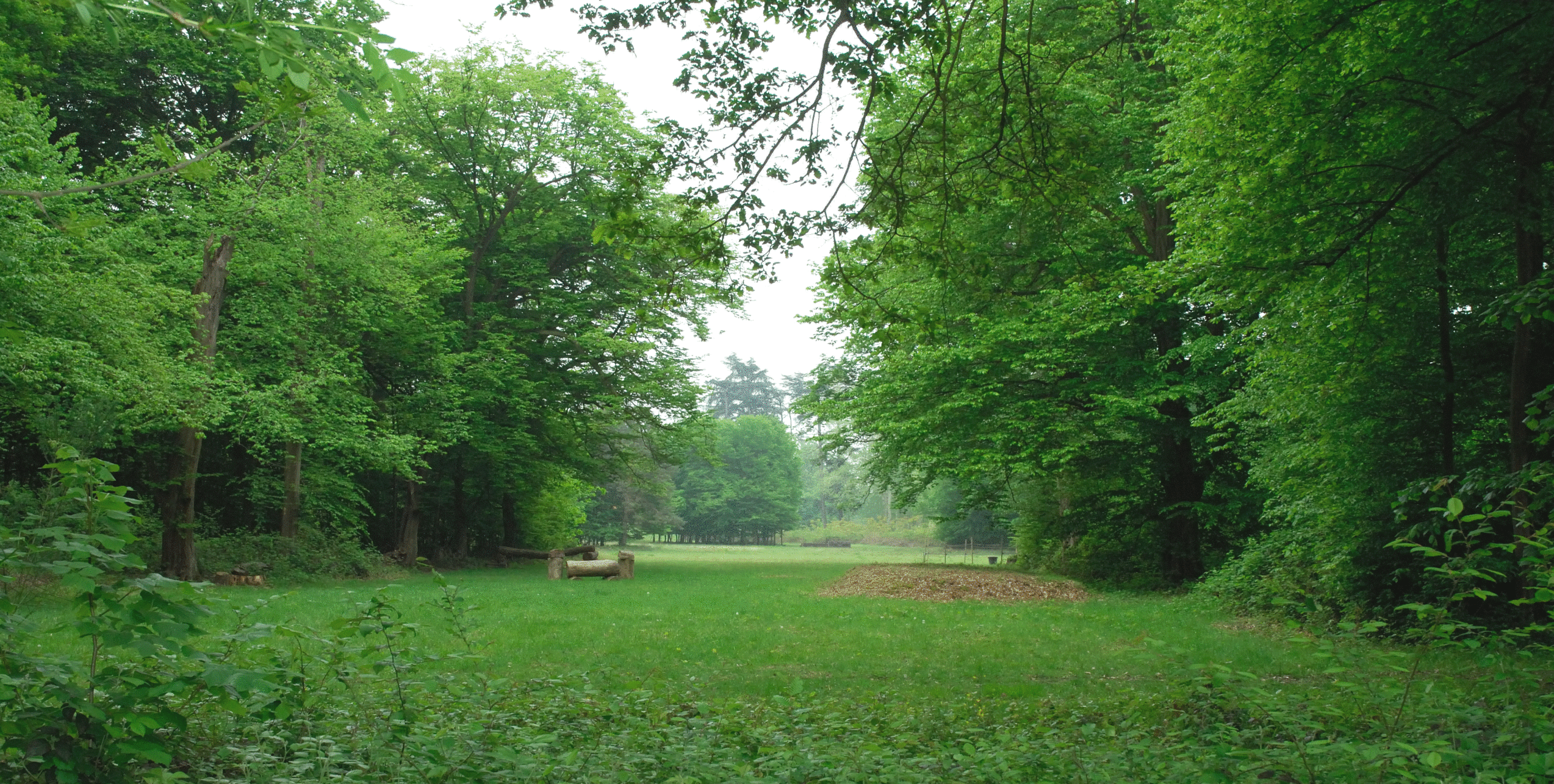 Dream catchers : rallye théâtre des songes