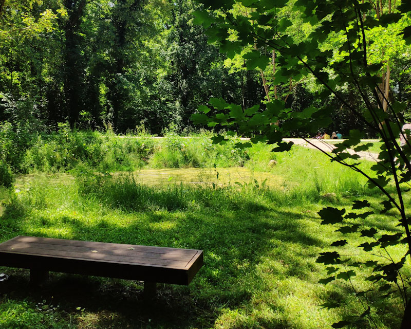 A la découverte des plantes de la Tégéval