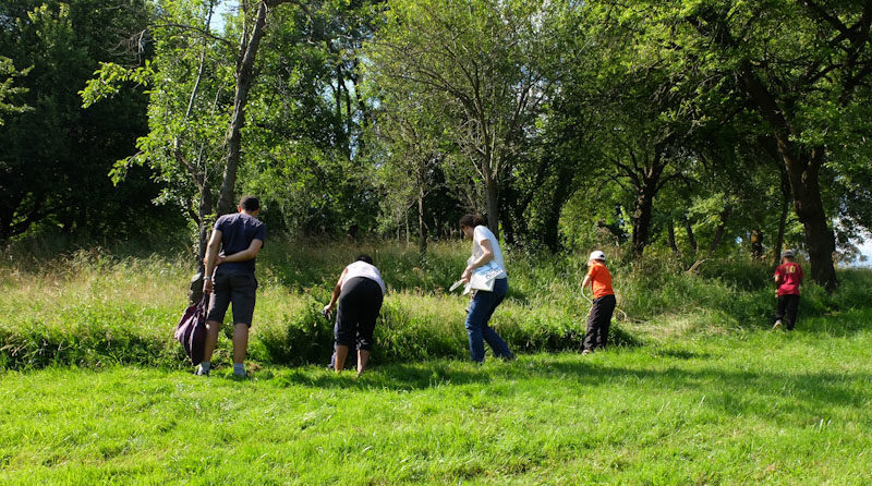 A la découverte du monde des araignées