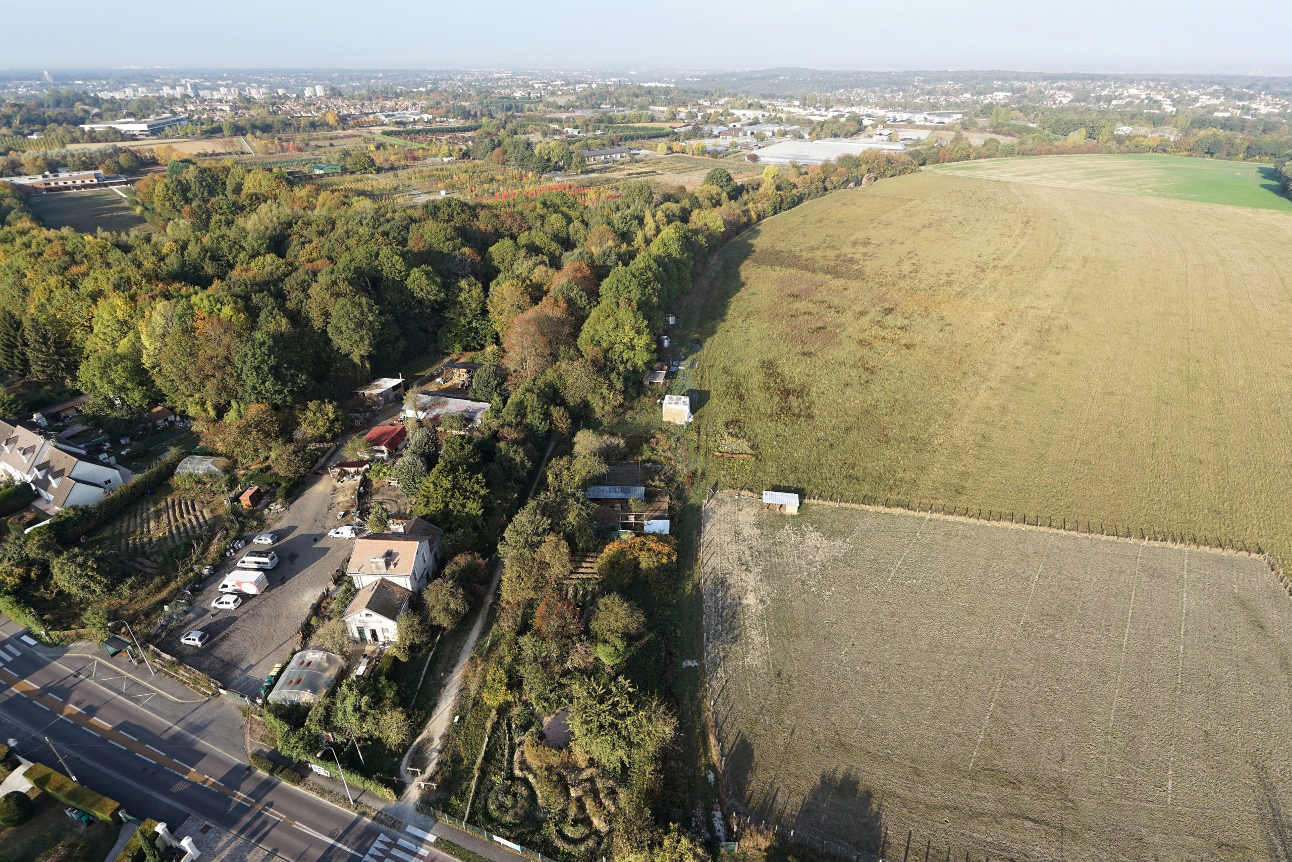 UNE NOUVELLE PROMENADE SUR « BALADE BRANCHÉE » !