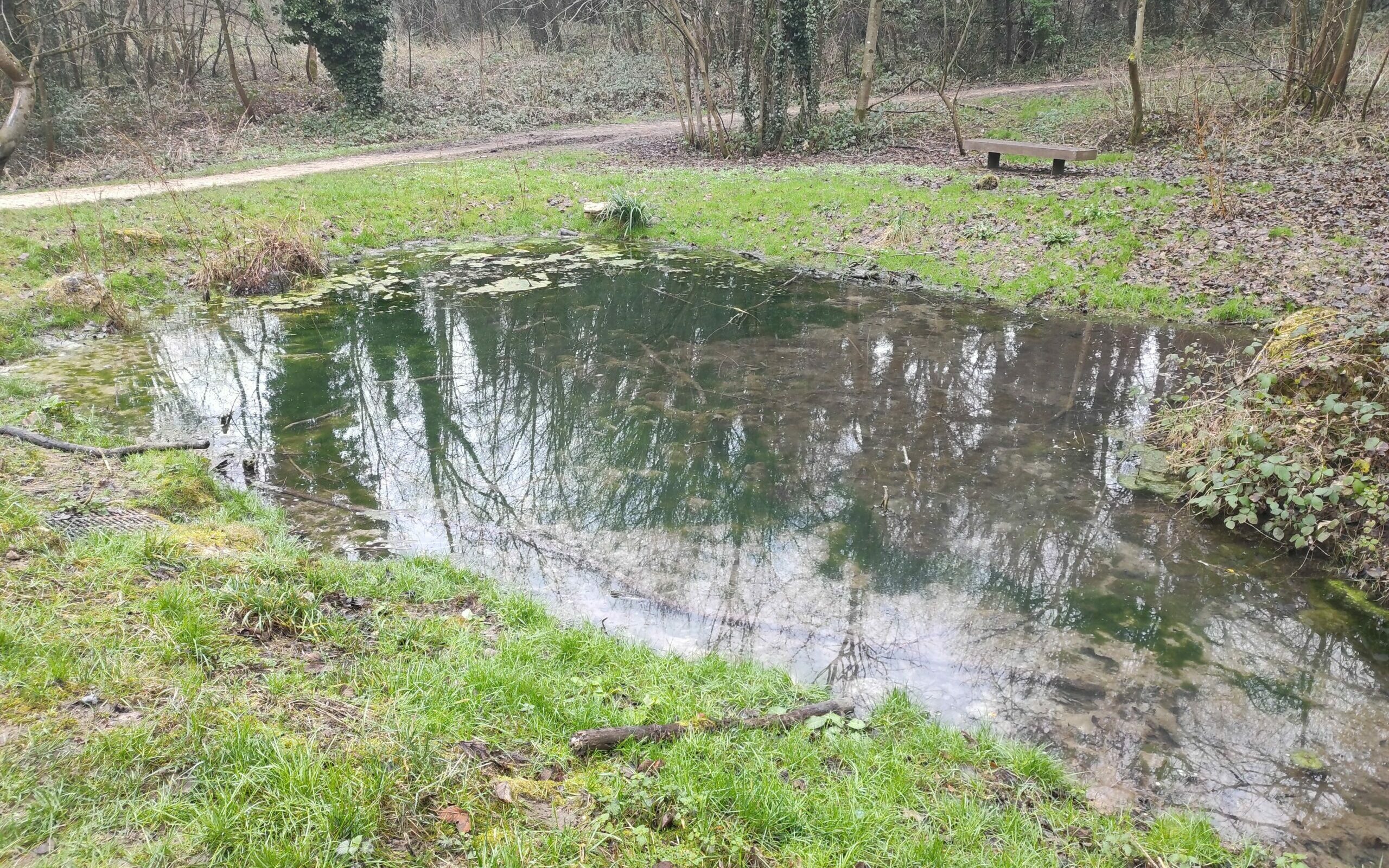 Restauration d’une mare