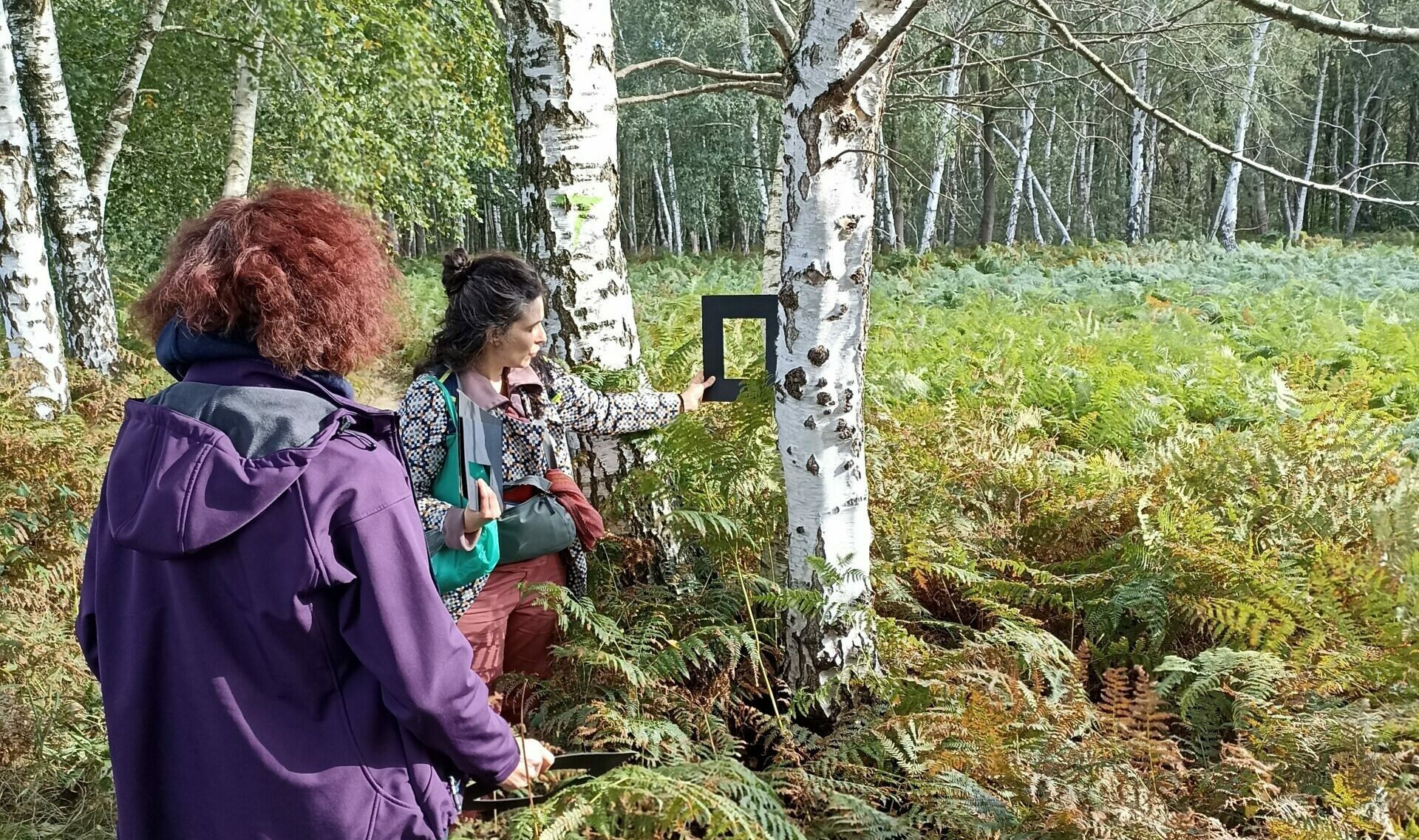 La forêt des 5 sens