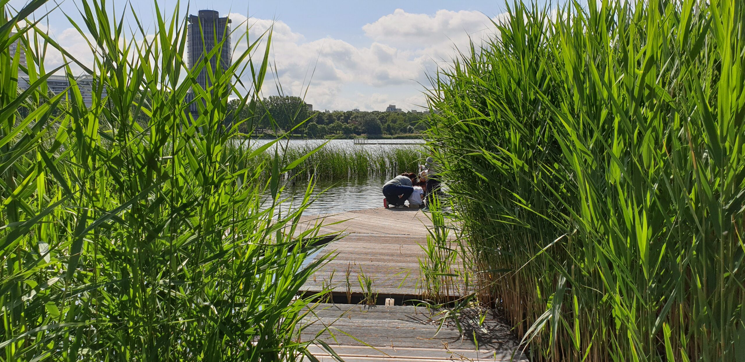 Histoires d’eau, le lac de Créteil