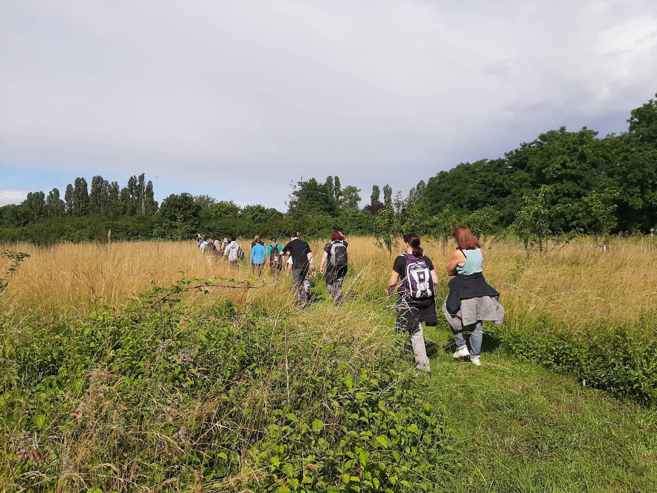La balade verte et urbaine