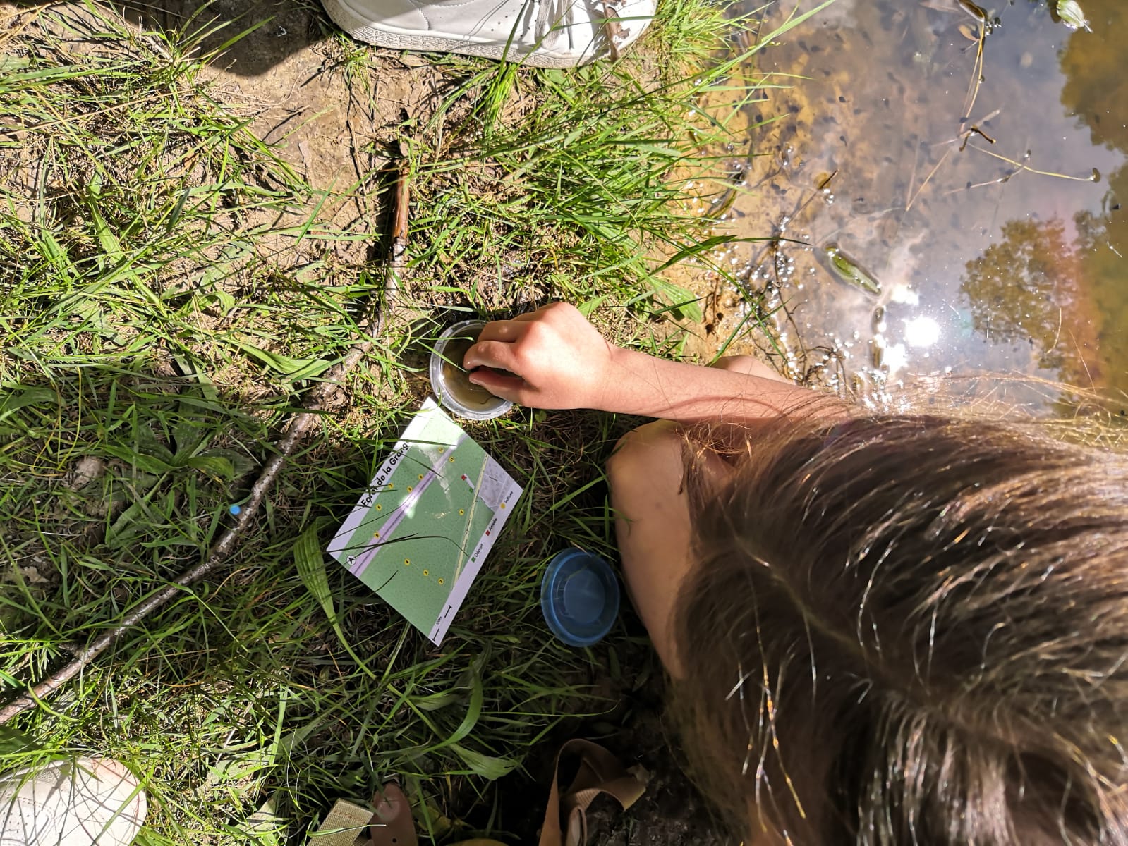 Jeu de piste en forêt