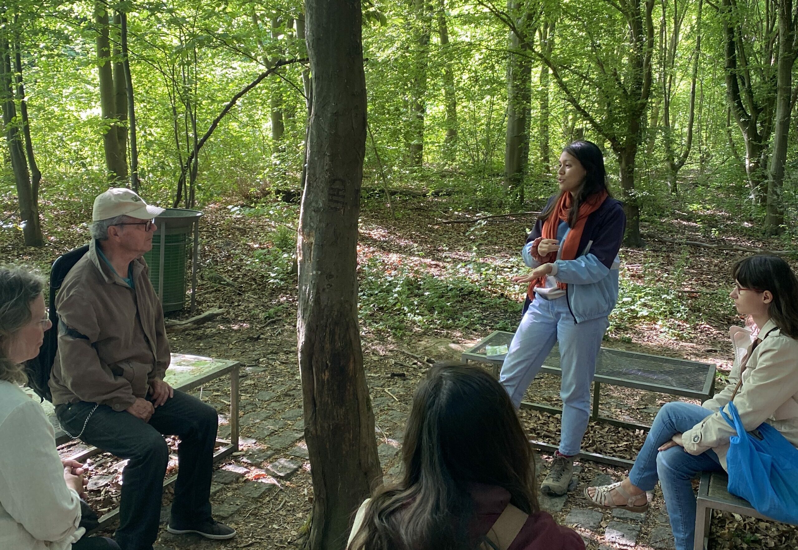 L’arbre en ville : un patrimoine à préserver