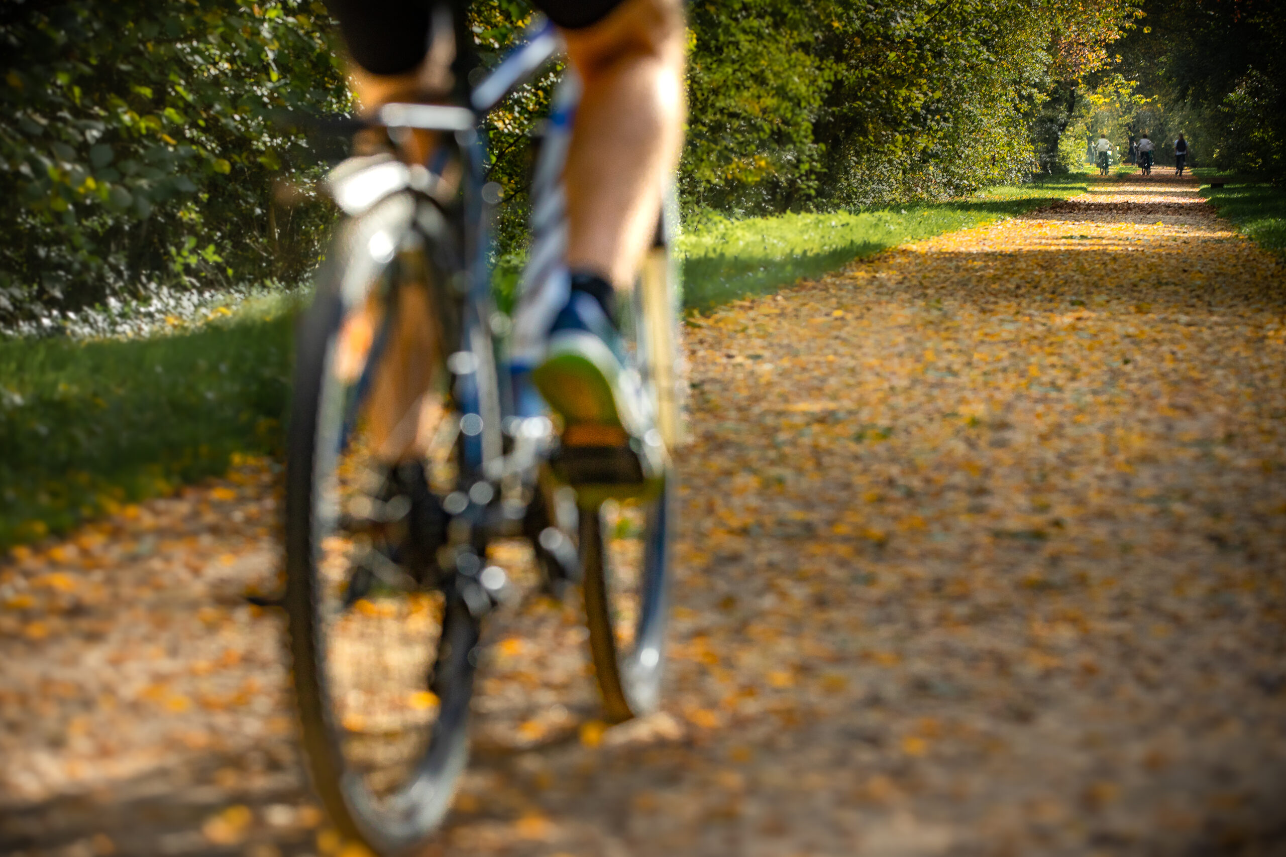 Savoir rouler à vélo