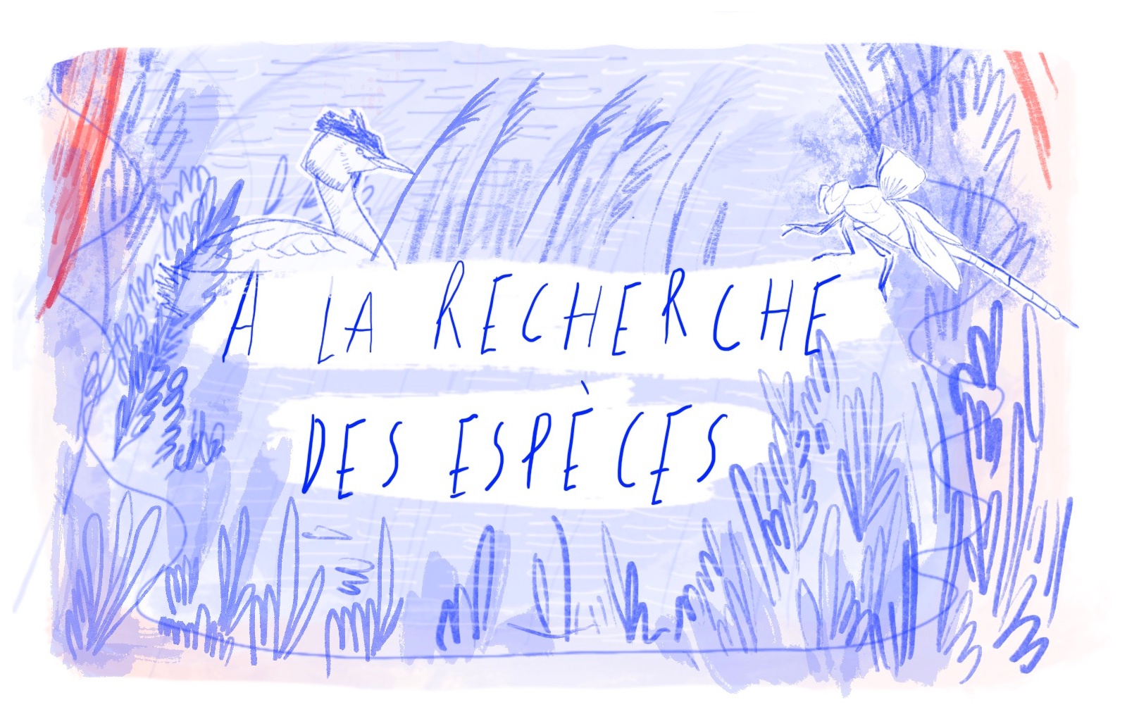 A la recherche des espèces !