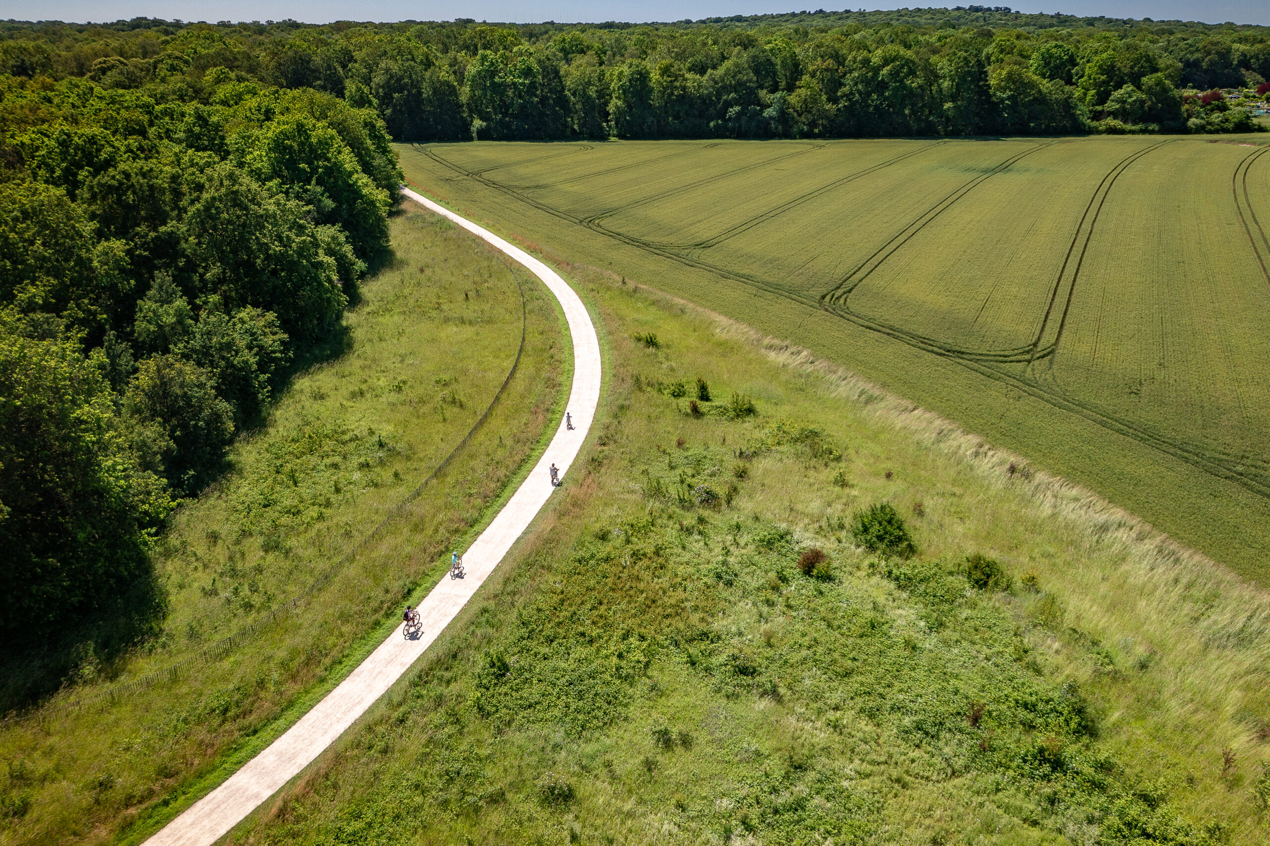 Atelier d’écriture-aventure à la lisière du bois