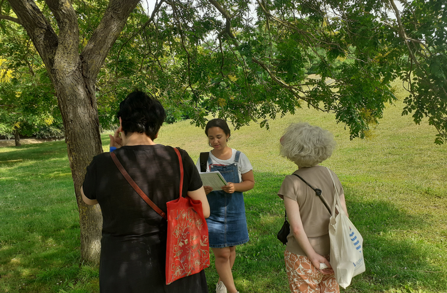 L’arbre en ville : un patrimoine à préserver