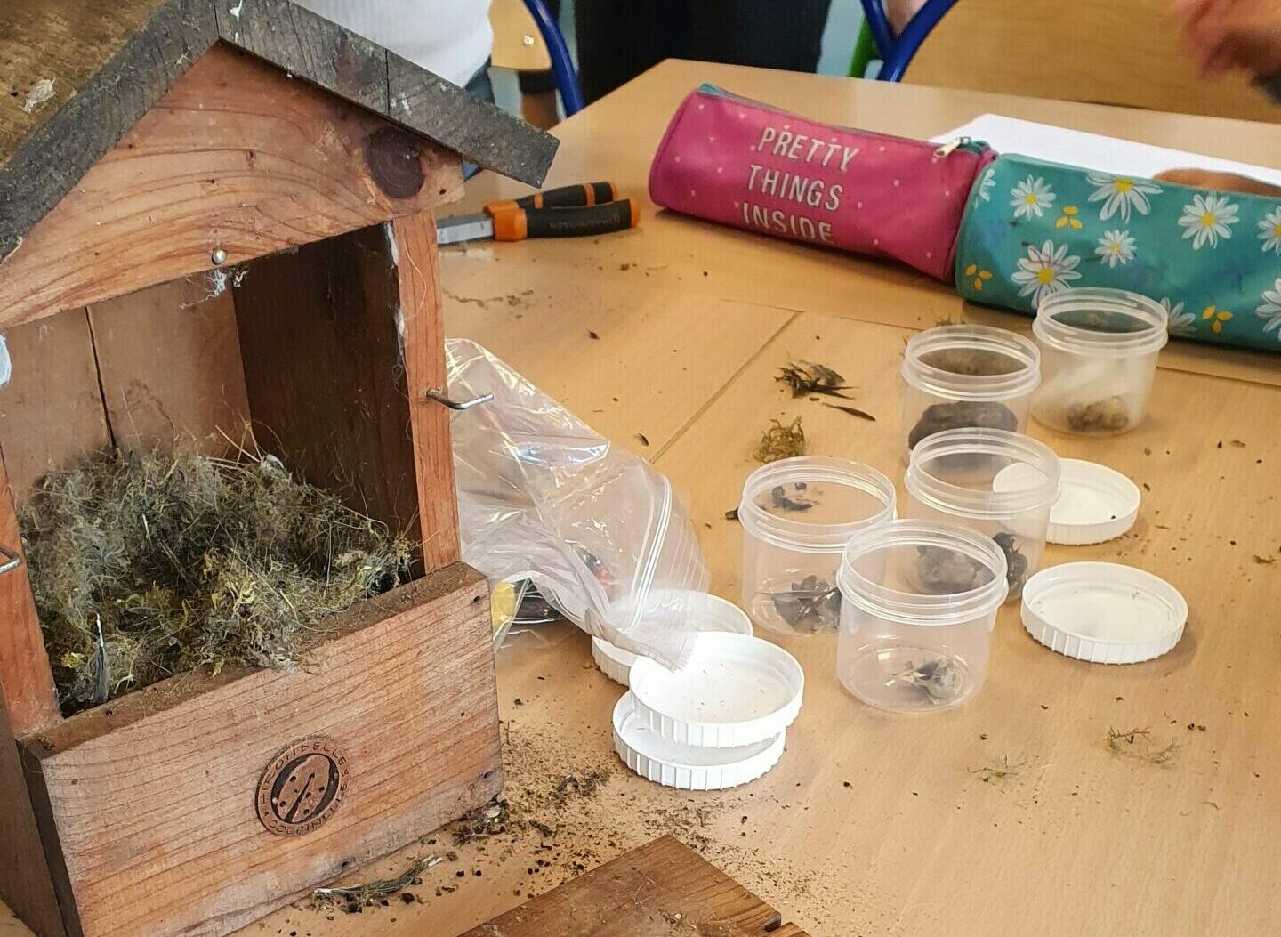 Chantier de restauration des nichoirs