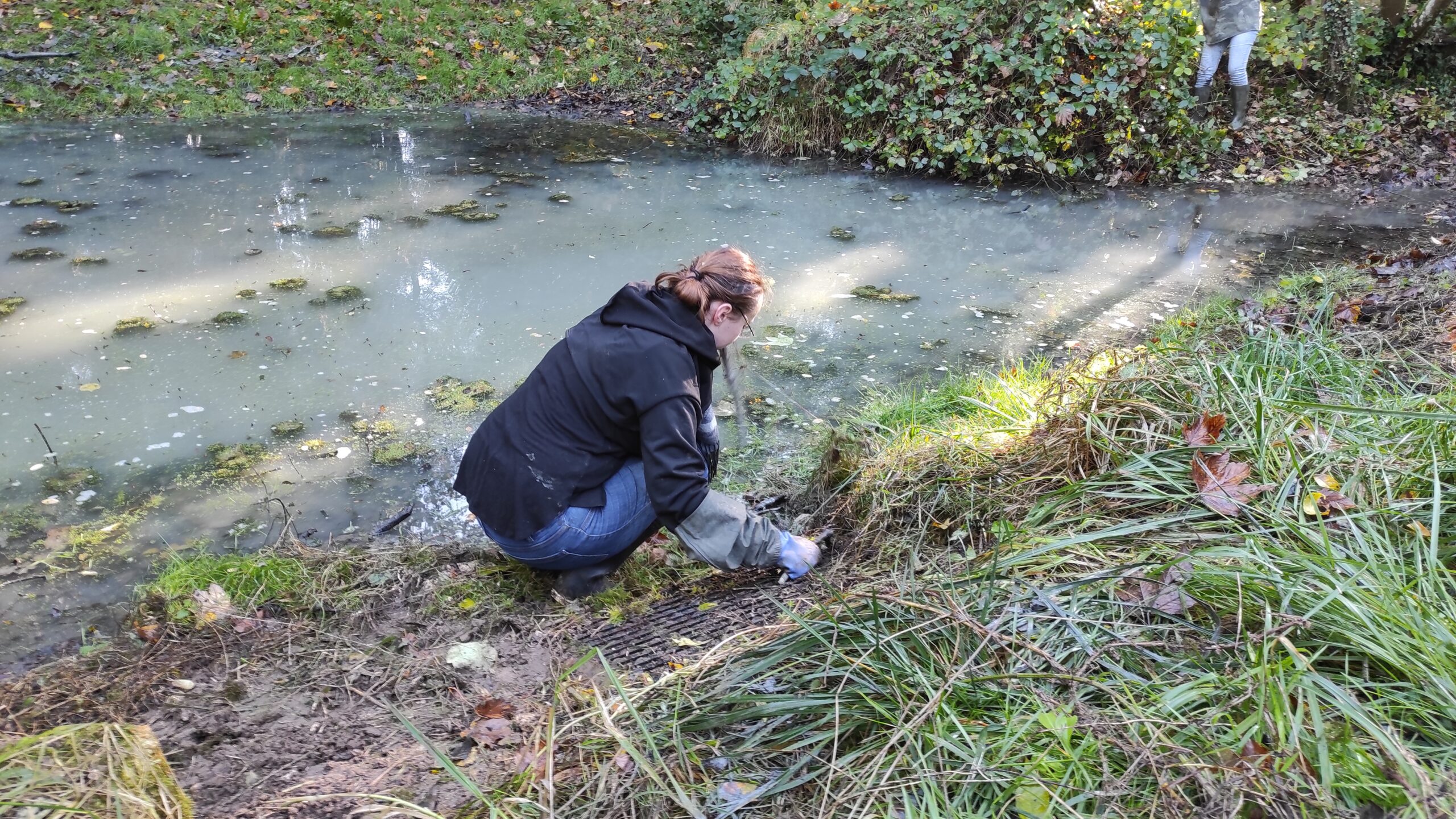 Restauration d’une mare sur la Végétale > Reporté ultérieurement