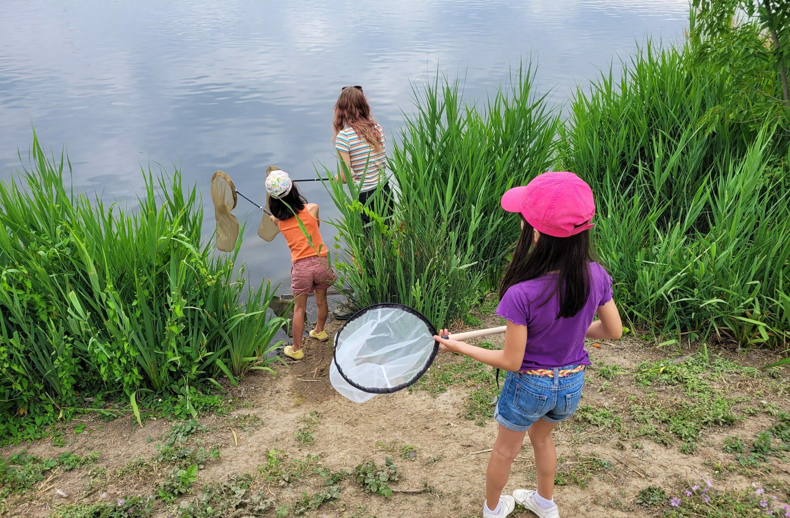Tous aux abris ! > REPORTÉ